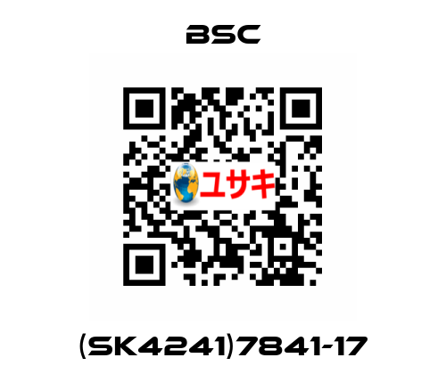 (SK4241)7841-17 BSC