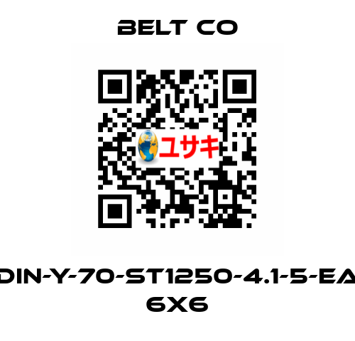 DIN-Y-70-ST1250-4.1-5-EA 6X6 BELT CO