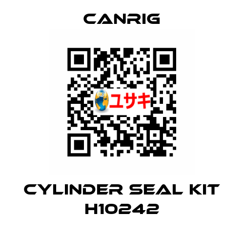 CYLINDER SEAL KIT H10242 Canrig