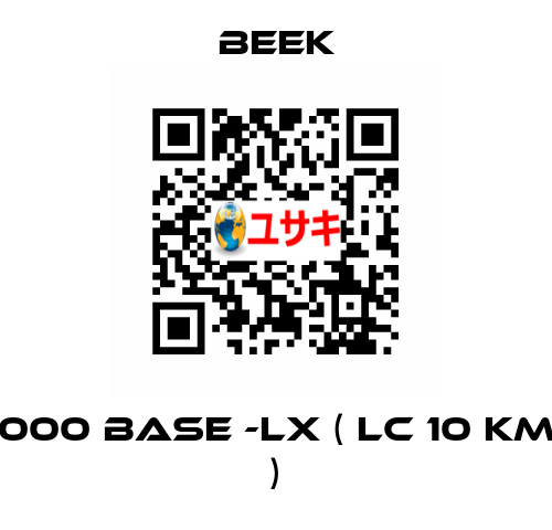 1000 BASE -LX ( LC 10 KM  ) Beek