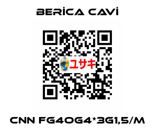 CNN FG4OG4*3G1,5/M BERİCA CAVİ