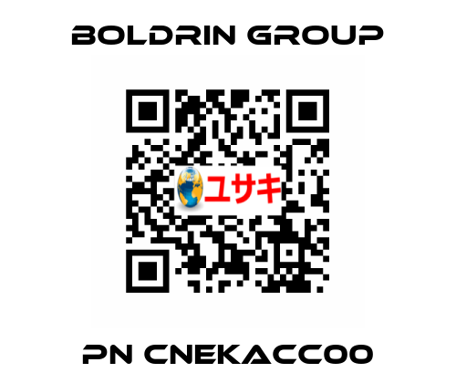 pn CNEKACC00 Boldrin Group