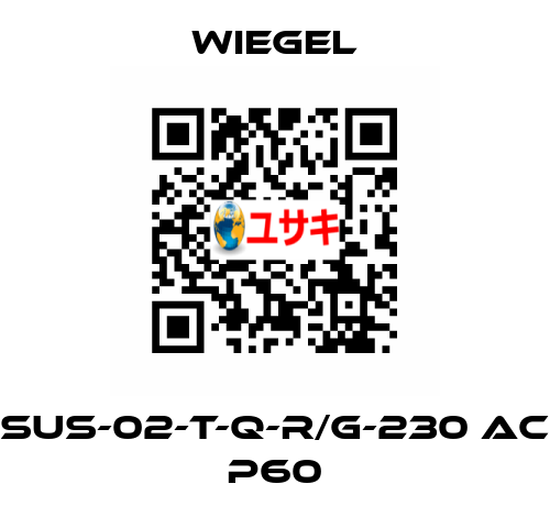 SUS-02-T-Q-R/G-230 AC P60 wiegel
