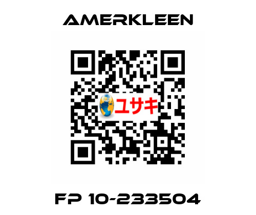 FP 10-233504 Amerkleen