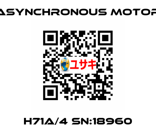 H71A/4 SN:18960 ASYNCHRONOUS MOTOR