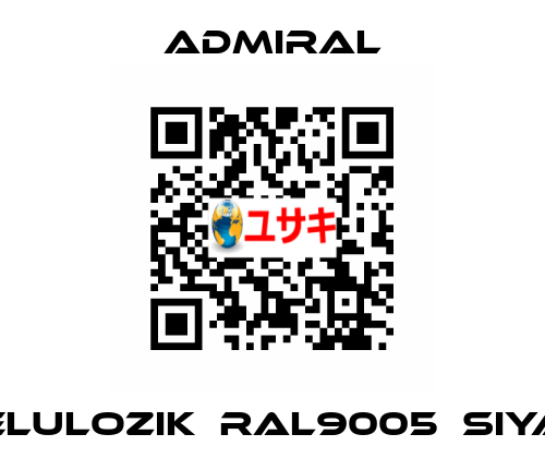 SELULOZIK	RAL9005	SIYAH admiral