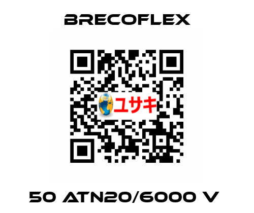 50 ATN20/6000 V  Brecoflex