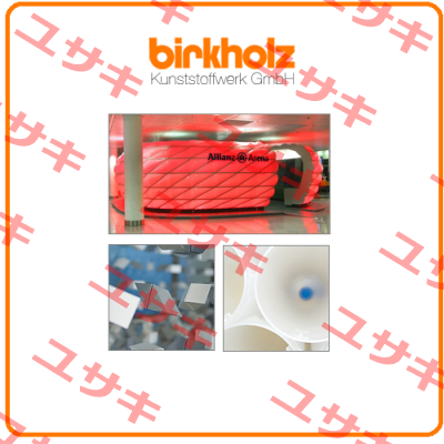 04553000  Birkholz