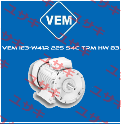 VEM IE3-W41R 225 S4C TPM HW B3 Vem Motors