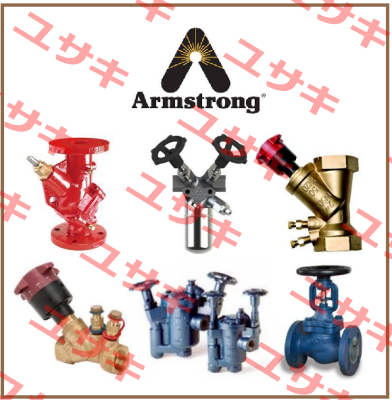 (70001) 1811 NPT-1/2" Ventil-*****" Armstrong
