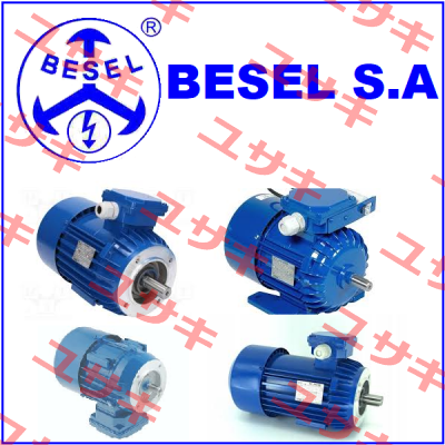 BA650  BESEL S.A.