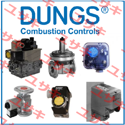 221593 Dungs