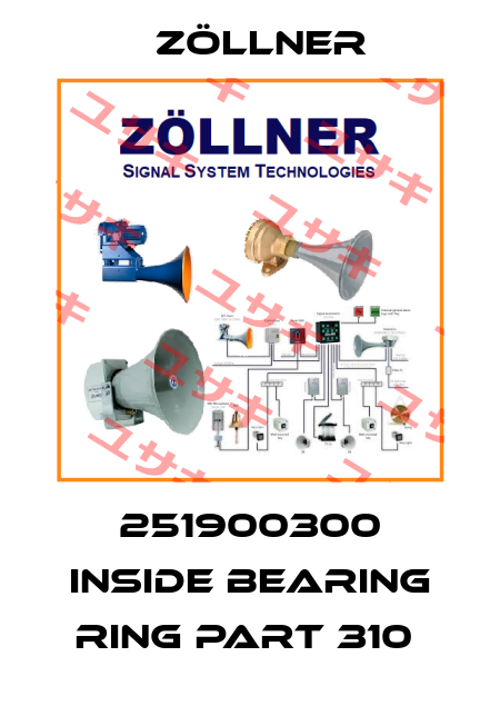 251900300 INSIDE BEARING RING PART 310  Zöllner