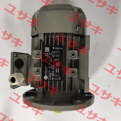 FCPA 80B-2 /PHE AC Motoren