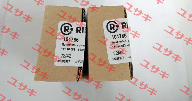 101786 / 6301 Riegler