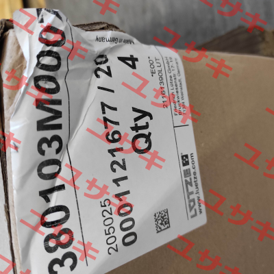380103M0007 Luetze