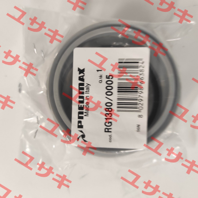 RG1380/0005 Pneumax