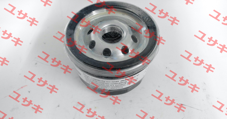 492932 Briggs-Stratton