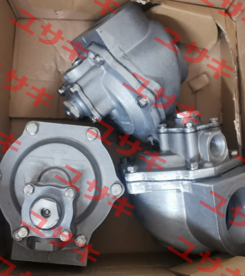 G353A048 Asco