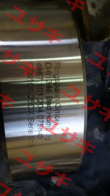 FXN101-25DX (4867-101204-075H49) Ringspann