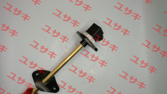 SSM.1.B5.180.5.S1 Engler