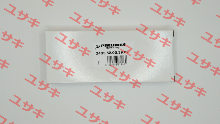 2435.52.00.39.82 (24V/DC) Pneumax