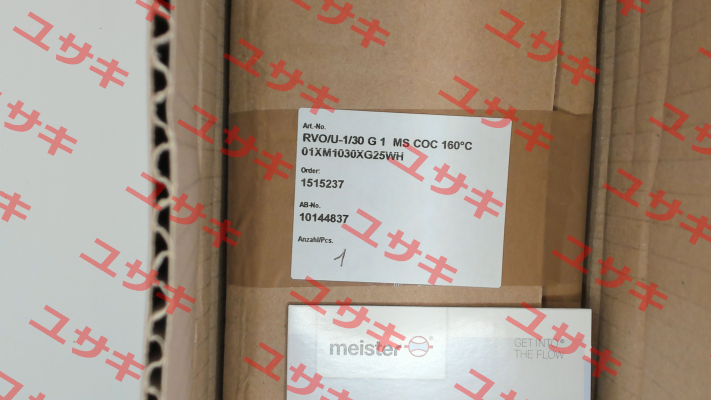 01XM1030XG25WH Meister