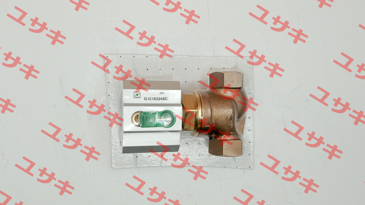 G1018224SC Pneumax