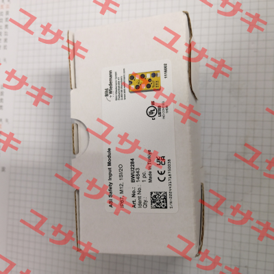 BWU2284 Bihl Wiedemann