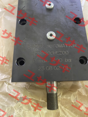 250300-BAZ00 Binder