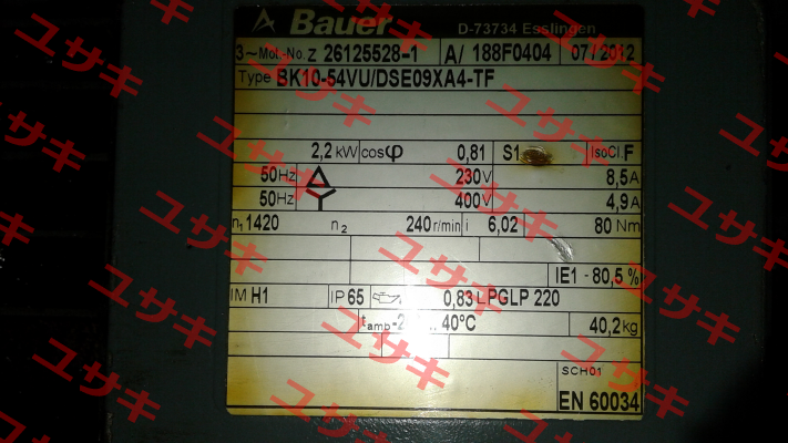 BK10-54VU/DSE09XA4-TF  Bauer