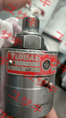 GD-120-AP-C019 Turian