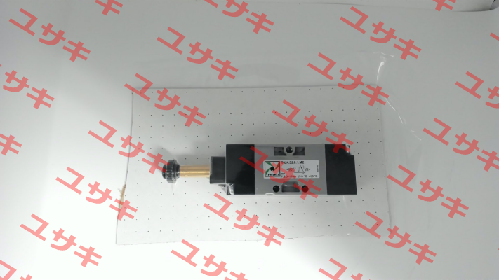 T424.32.0.1.M2 Pneumax