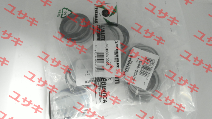 RG1380/0003 Pneumax