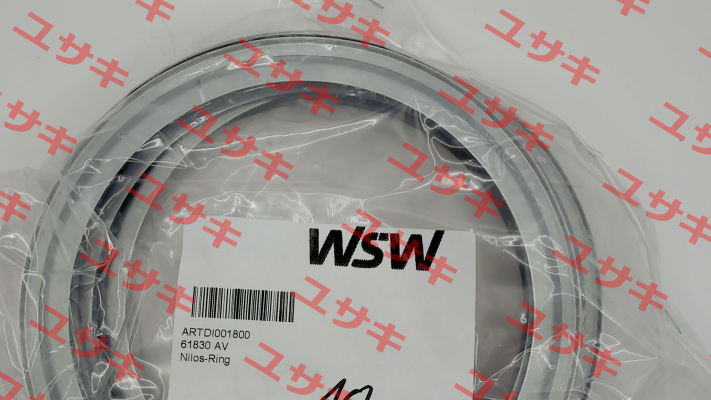 61830 AV WSW  Wälzlager