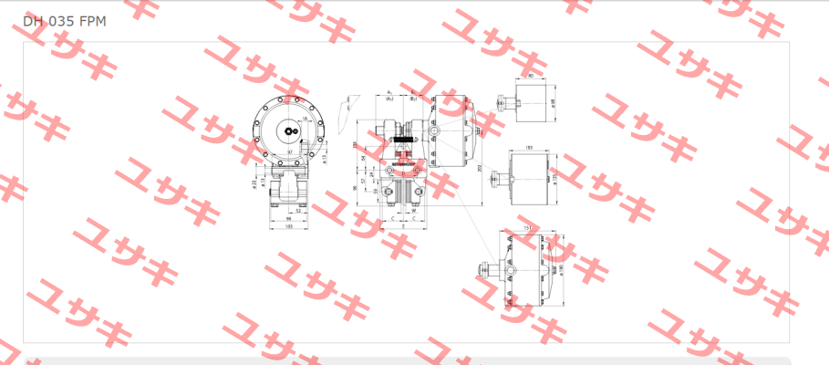 DH 035 FPM-122R-12  Ringspann