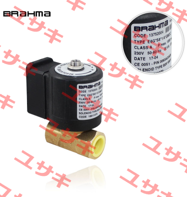 13752004 / E6G*S 8*1/4*GMOC Brahma