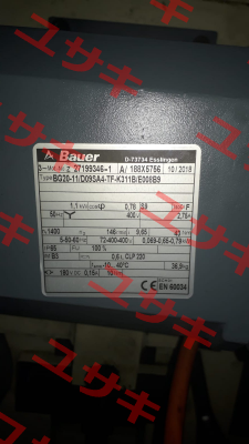 BG20-11/D09SA4-TF-K311B/E008B9  Bauer