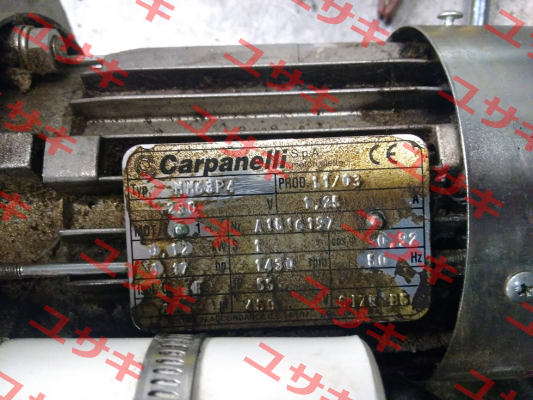 MM63P4 Carpanelli