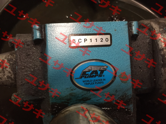 3CP1120 Cat Pumps