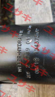 SDF 2.3749.011.0/30 OEM Weber Hydraulik