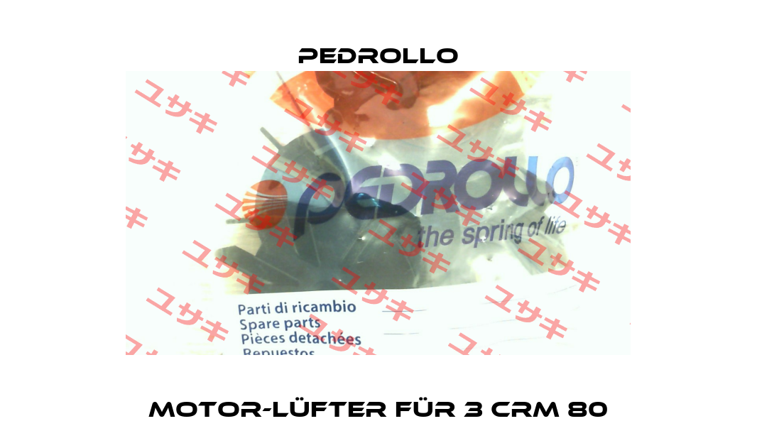 Motor-Lüfter für 3 CRm 80 Pedrollo