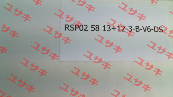 RSP02- 58 13+12-3-B-V6-DS (02.12.25231150) Resatron