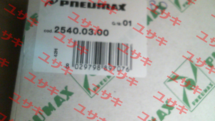 2540.03.00 Pneumax