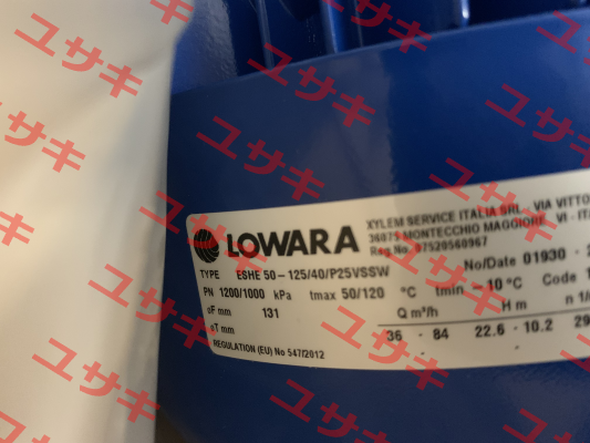 101860420YXWXNB Lowara