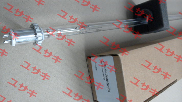 ASSM-LAMP80V01 Berson