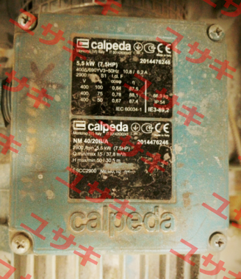 16006080000 Calpeda