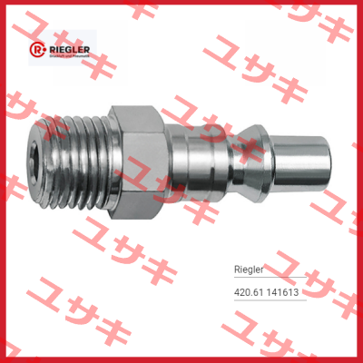 141613 Type: 420.61 Riegler