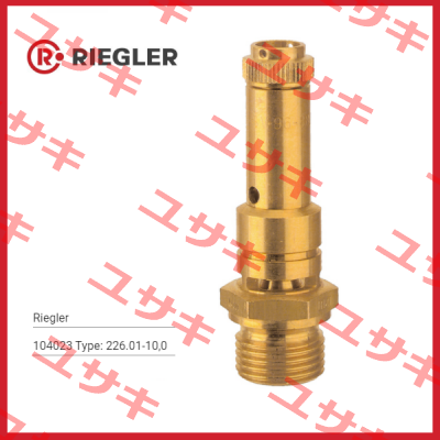 104023 Type: 226.01-10,0 Riegler
