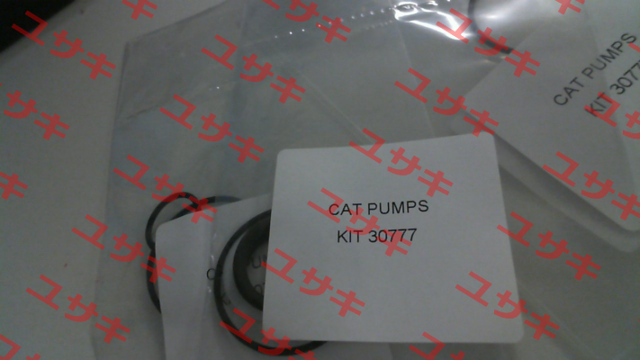 30777 Cat Pumps